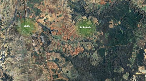 Foto 5 von Grundstücke zum Verkauf in Pje Majalitos, Niebla, Huelva