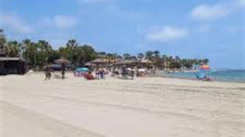 Photo 3 of Single-family semi-detached for sale in Torre-Pacheco ciudad, Murcia