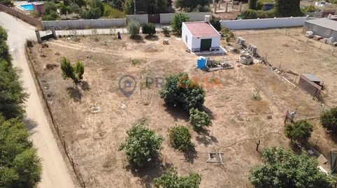 Foto 4 de Finca rústica en venta en Los Granadillos, Pedanías Norte, Utrera