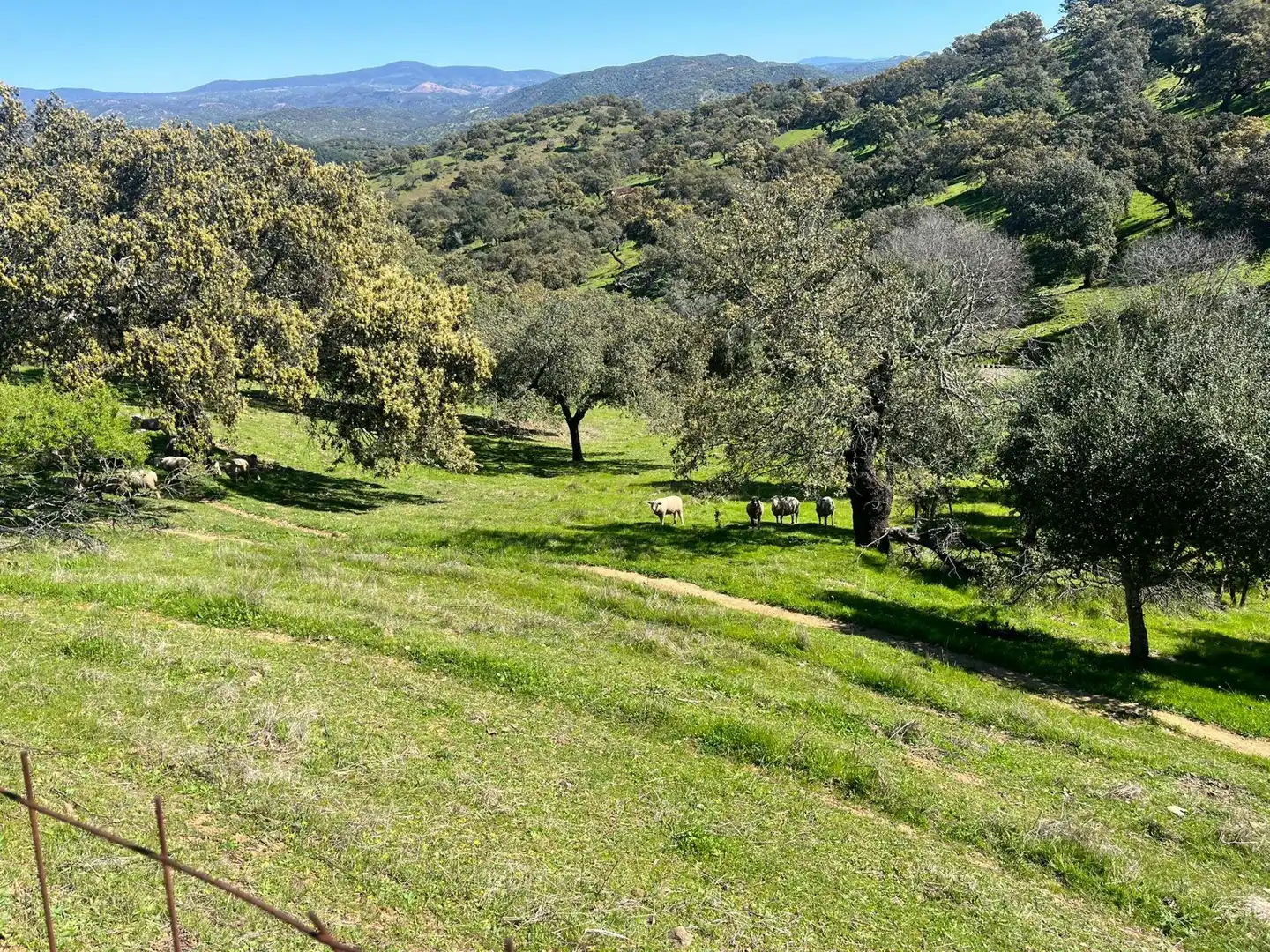 Terreni e lotti in vendita a Zufre, imagen 23