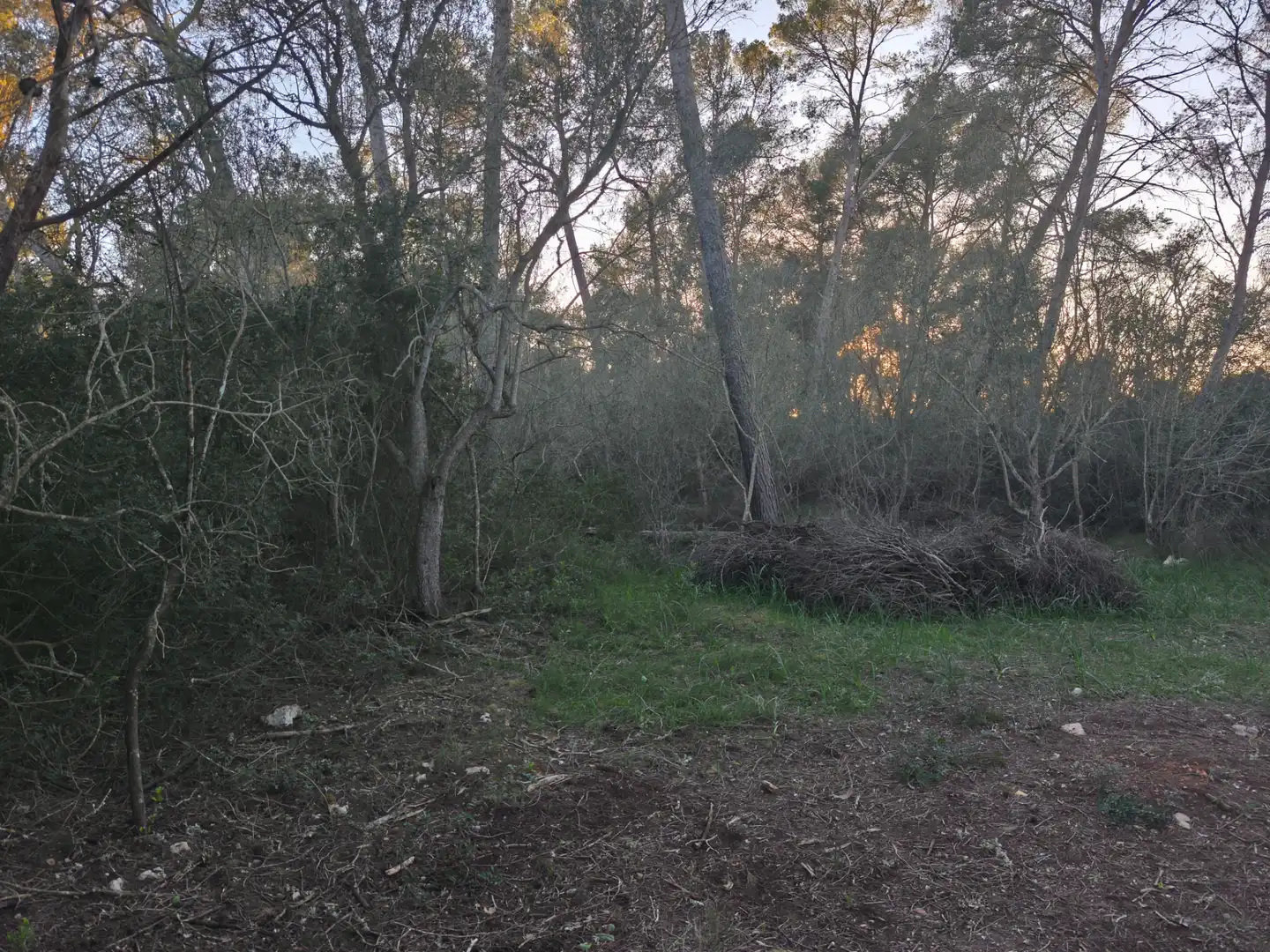 Terreno rustico in vendita a Algaida, imagen 12