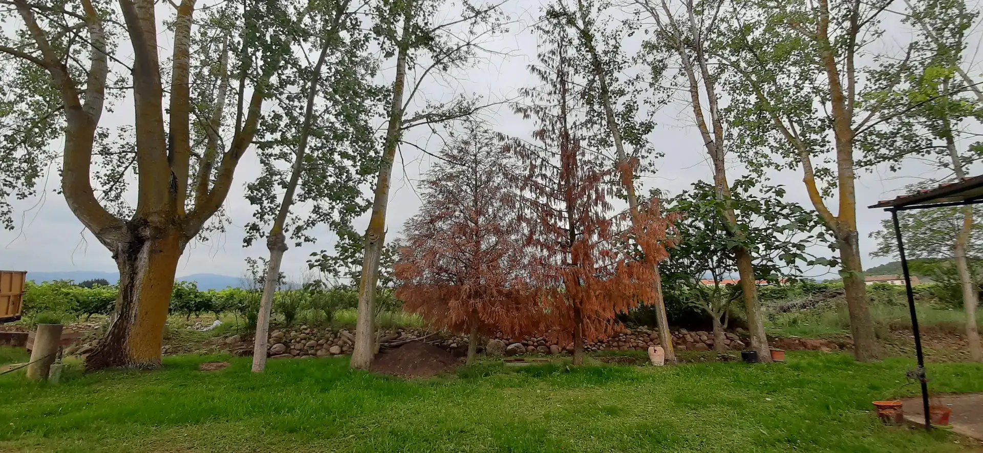 Xalet amb jardí en venda a Entrena, imagen 3