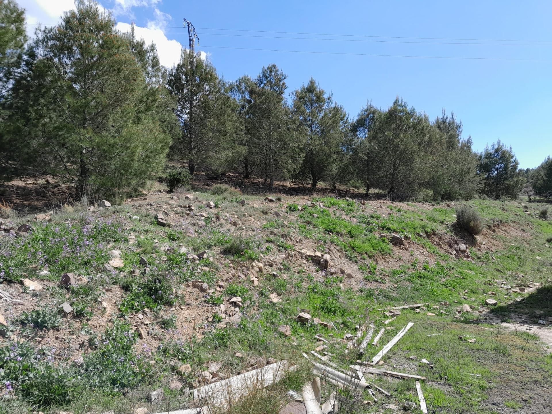 Finca rústica en venda en Cehegín