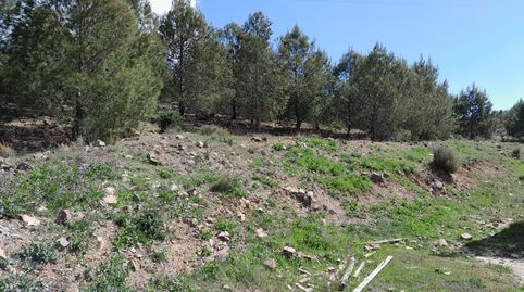Foto 2 de Finca rústica en venda a Cehegín, Murcia