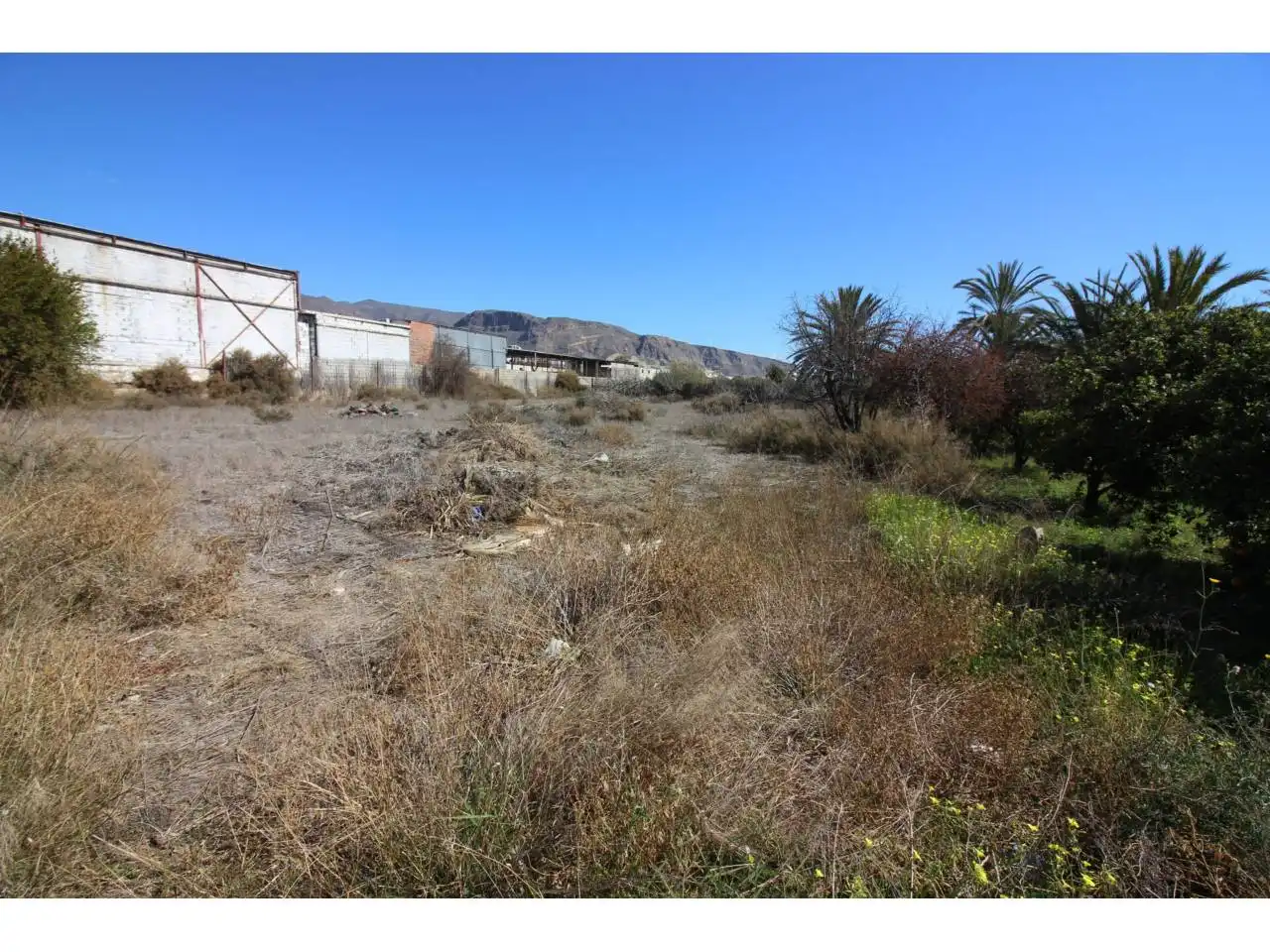 Terreno rustico in vendita a Carretera Alicún, imagen 12