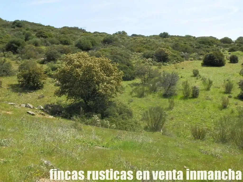 Rural land for sale in Calzada de Calatrava, imagen 28