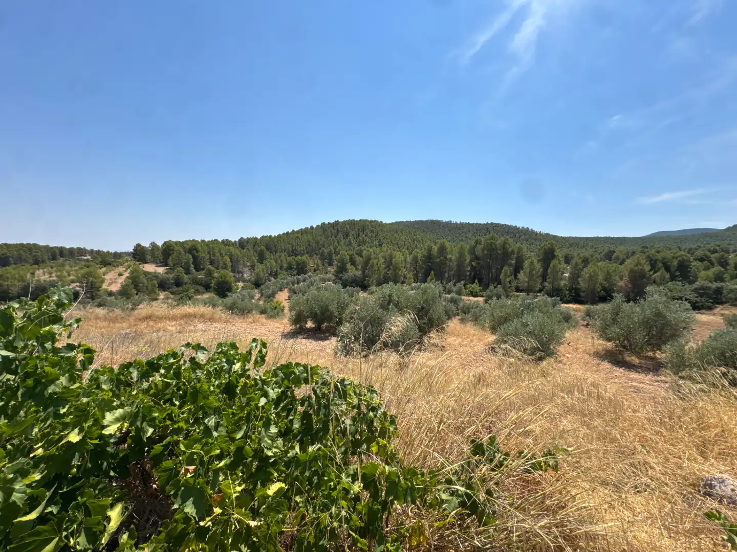 Rural land for sale in N/A, imagen 38