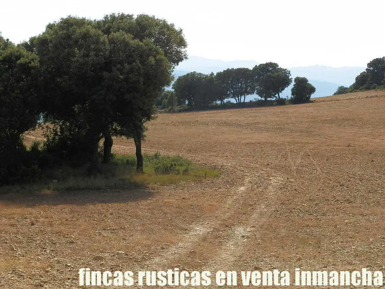 Terreno rustico in vendita a Caravaca de la Cruz, imagen 12
