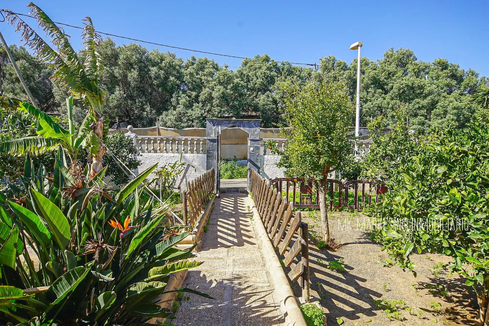 Jardí de Casa o xalet en venda en Telde amb Jardí privat, Terrassa i Traster