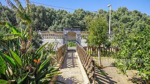 Photo 5 of Houses for sale in  Guinea a, Valle de los Nueve - El Ejido - Medianías, Telde