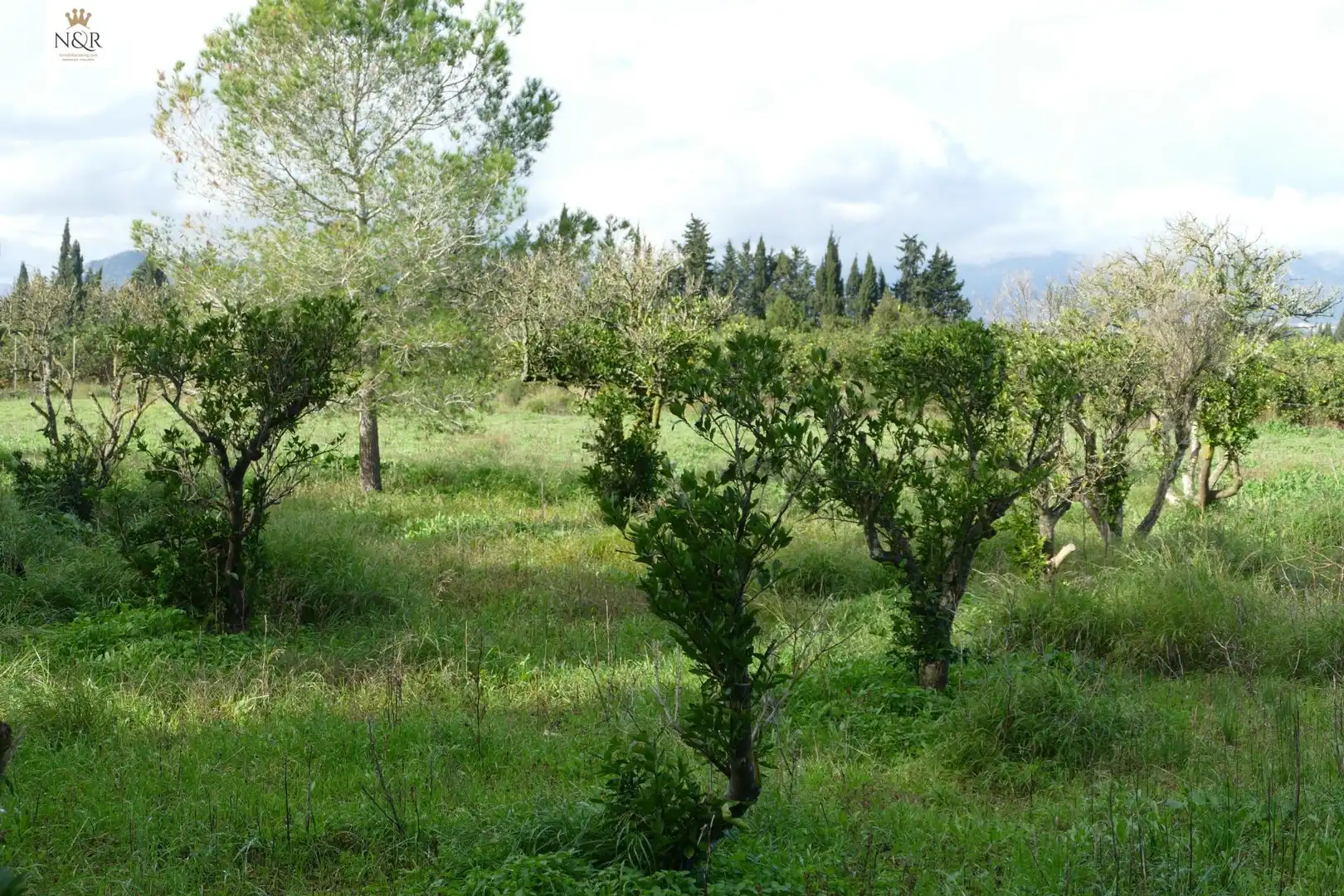 Finca rústica en venta en Llubí