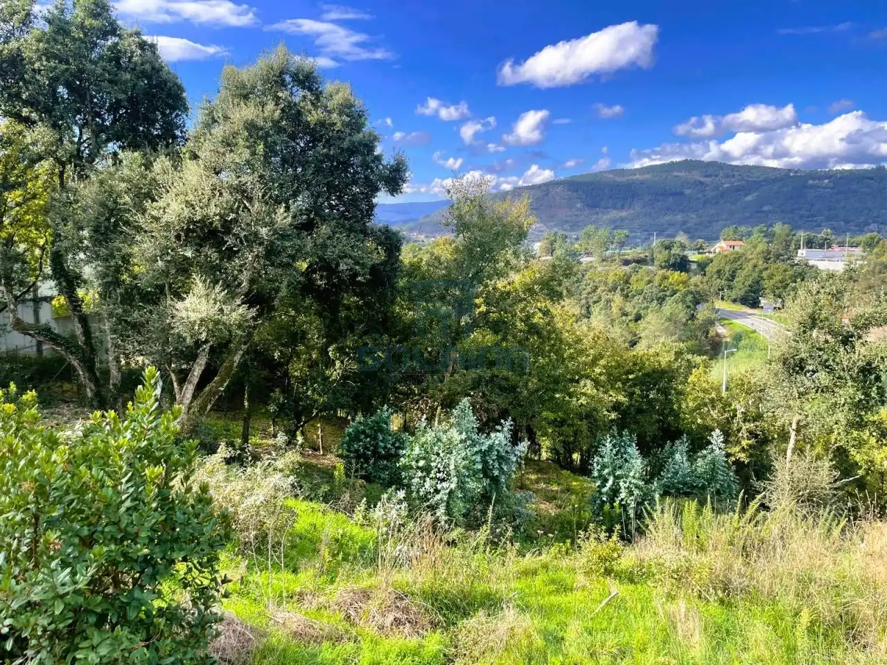 Terreni e lotti in vendita a San Rosendo, imagen 4