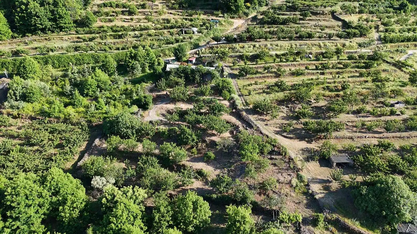 Terreni e lotti in vendita a Casas del Castañar, imagen 7