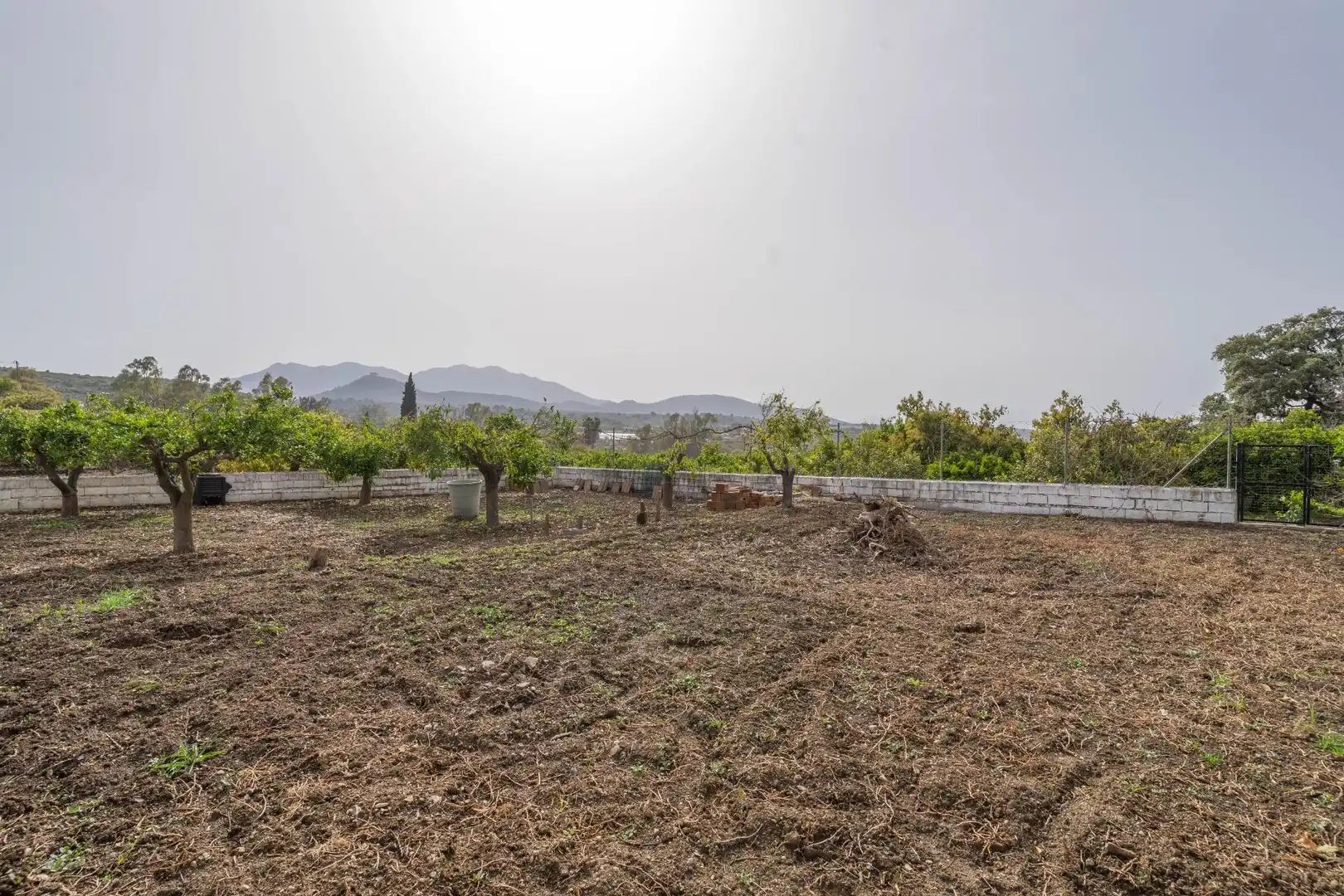 Xalet amb jardí en venda a Centro, imagen 19