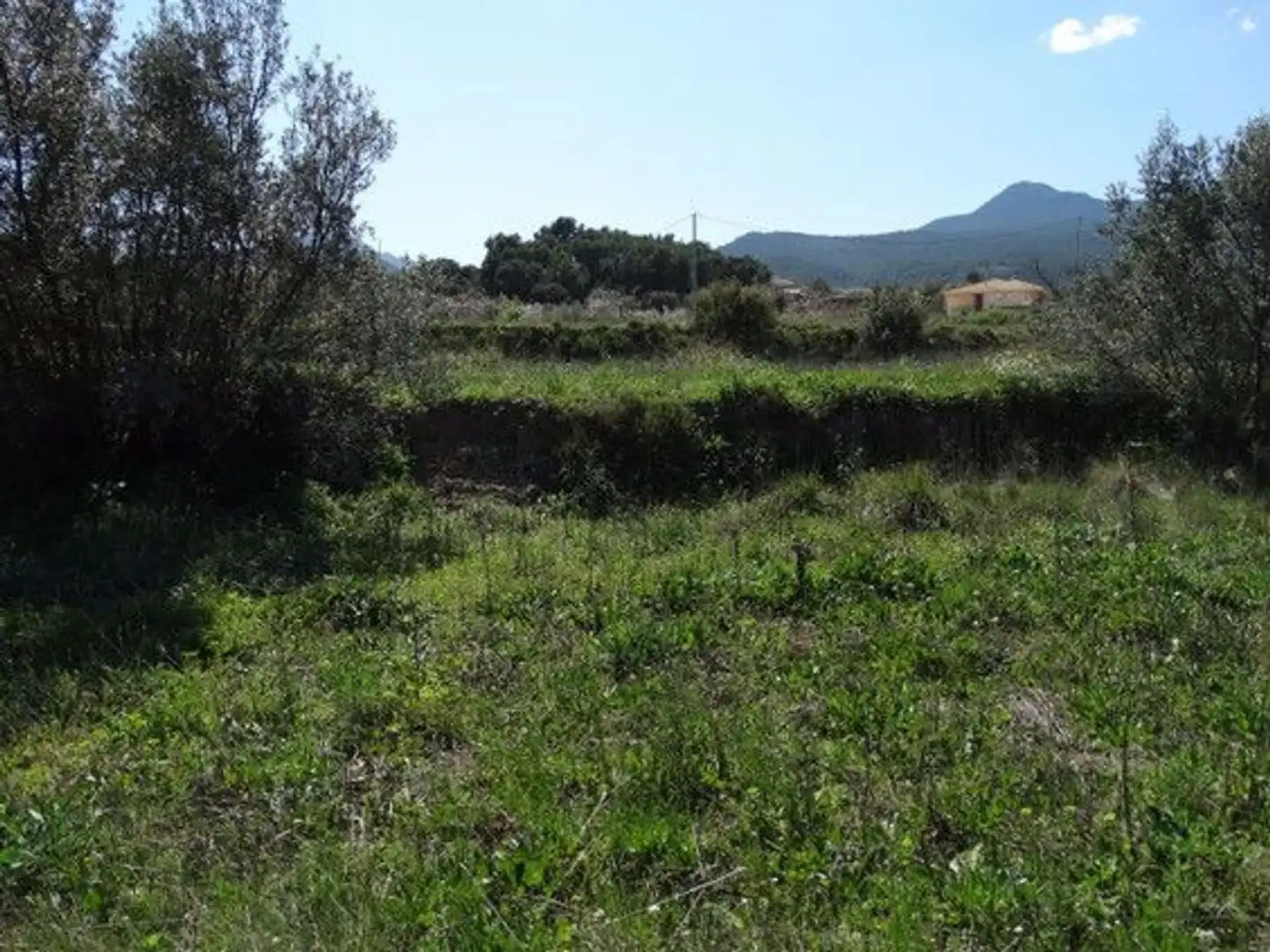 Terreny rústic en venda a Moratalla, imagen 8