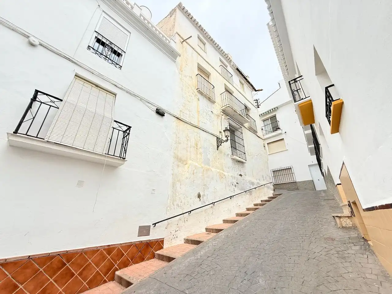 Vista exterior de Finca rústica en venta en Torrox