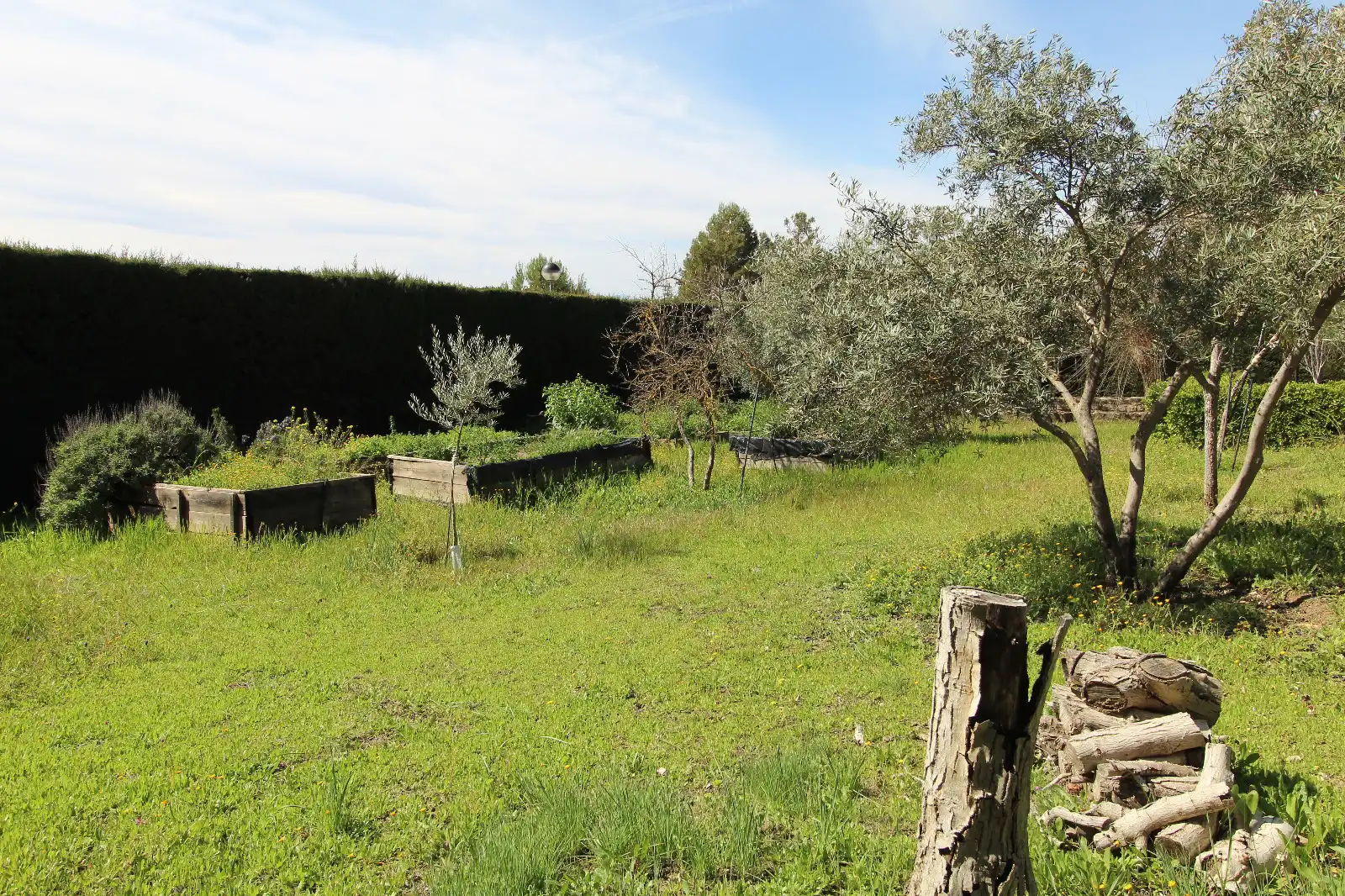 Houses for sale in Úbeda  with Heating, Private garden and Swimming Pool