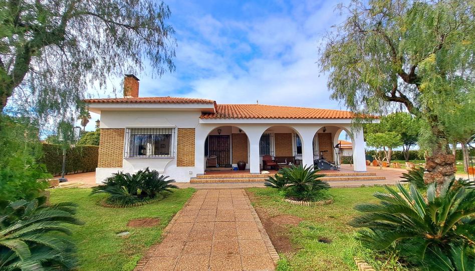 Photo 1 of House or chalet for sale in Calle Calle de las Zancudas, 38, Isla Canela, Huelva