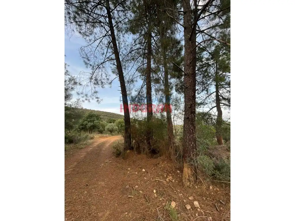 Country house for sale in Castañar de Ibor, imagen 7