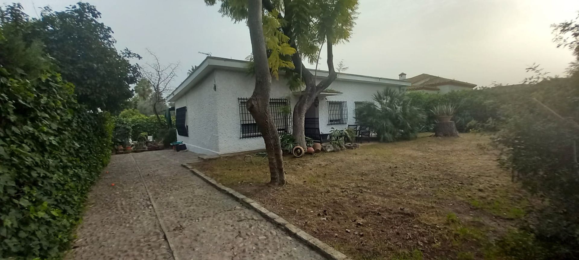 Vista exterior de Casa o chalet en venta en Mairena del Aljarafe con Aire acondicionado, Jardín privado y Piscina