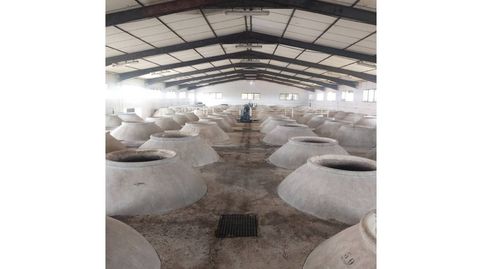 Se Vende Antigua Bodega o Terreno en Torralba de Calatrava, imatge 4
