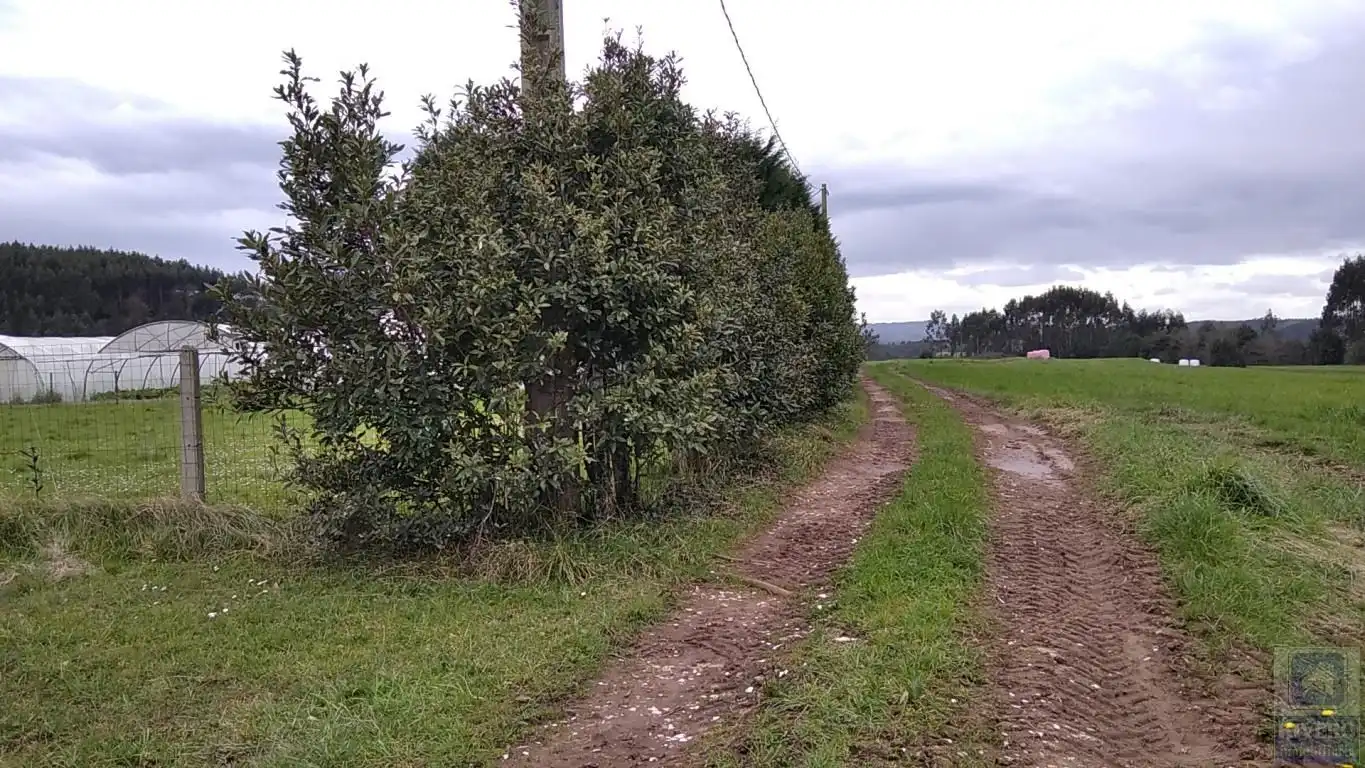 Grundstücke zum Verkauf in Carreño