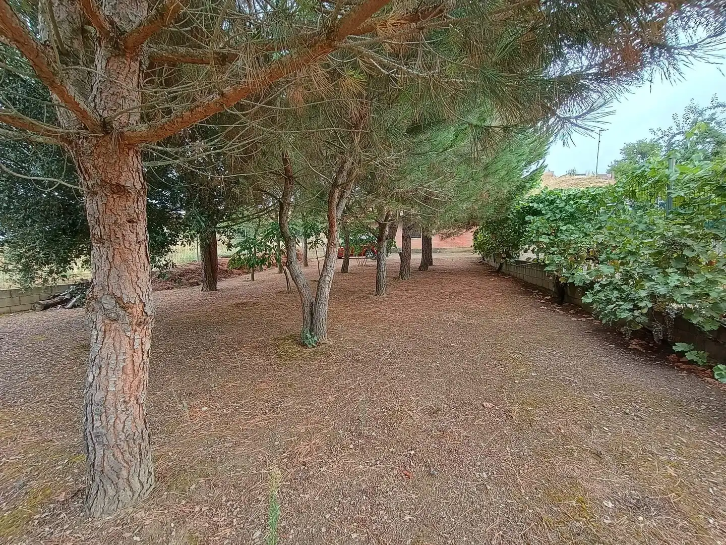 Terreno residenziale in vendita a Ardón, imagen 3