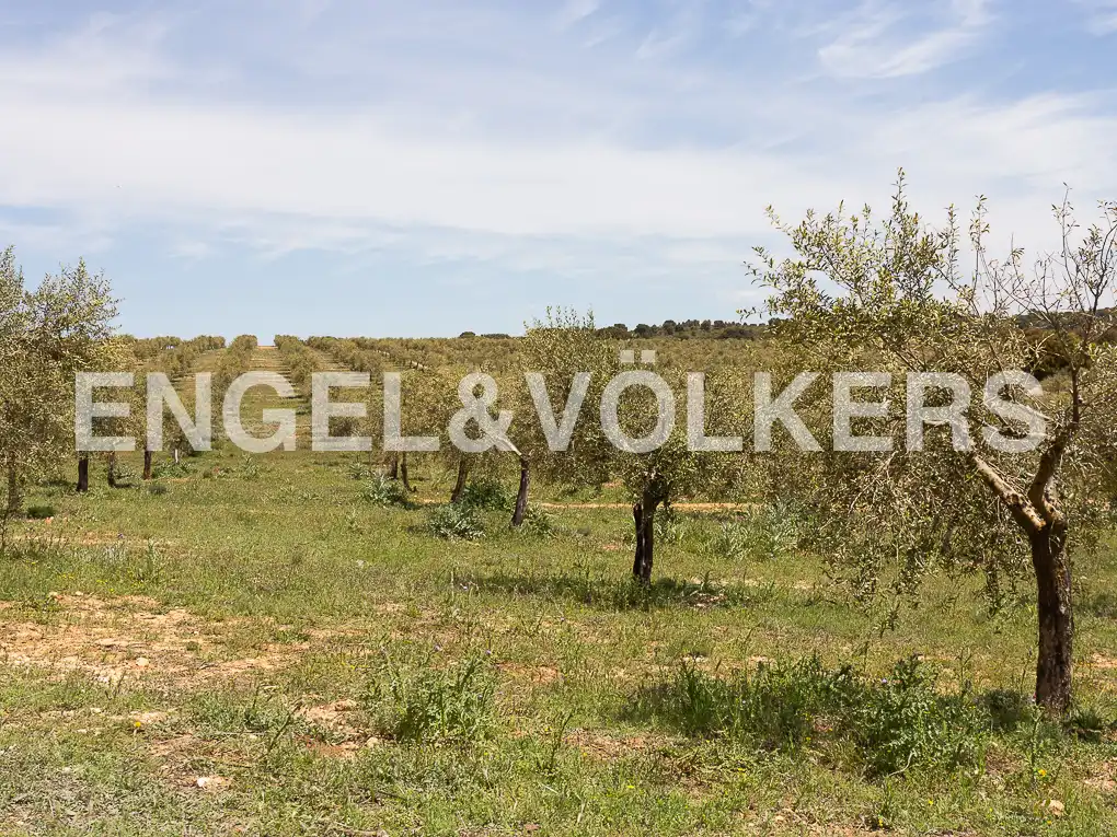 Casa o chalet en venta en Chinchilla de Monte-Aragón con Calefacción, Jardín privado y Terraza