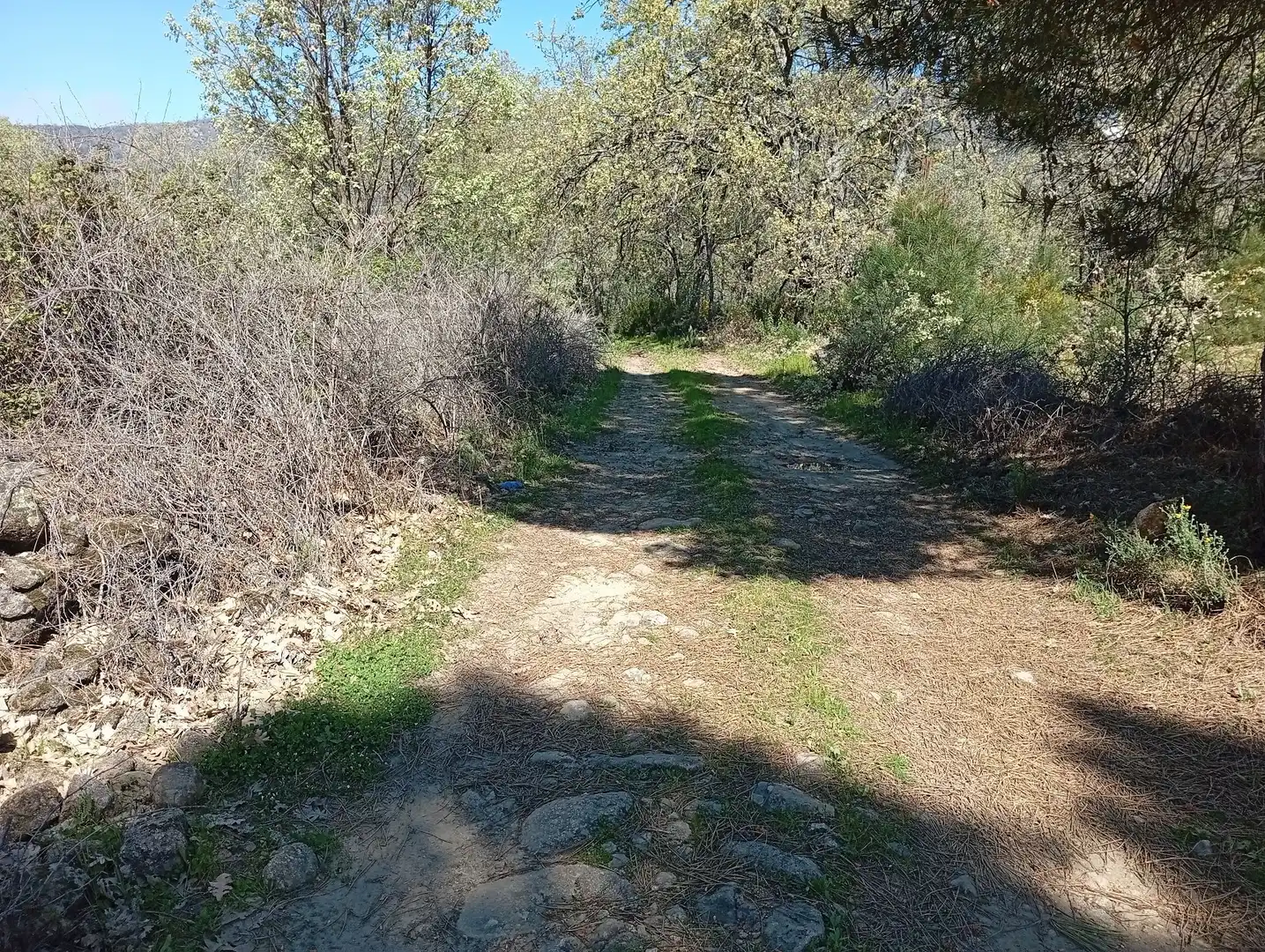 Terreni e lotti in vendita a Valverde de la Vera, imagen 71