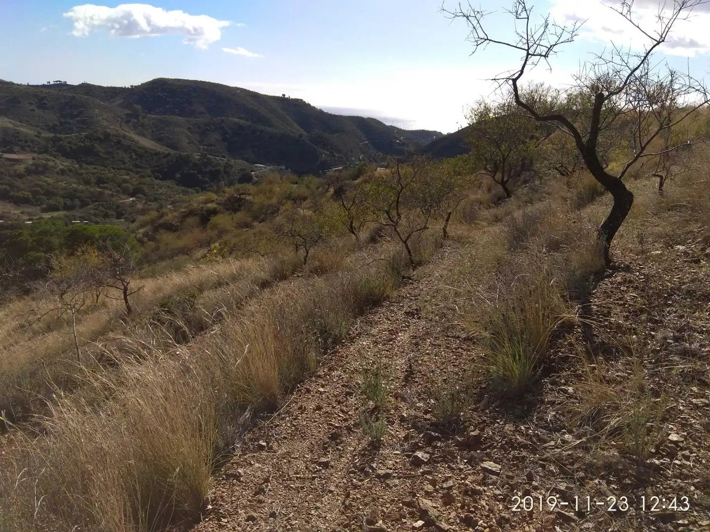 Terrains et parcelles à vendre à Ojén pueblo, imagen 10