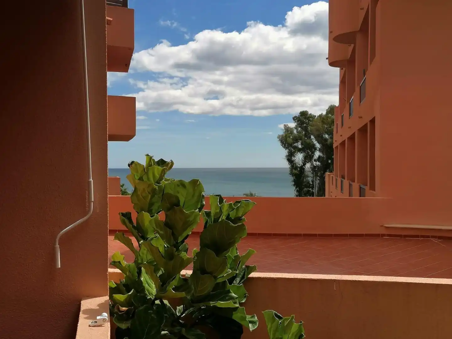 Vista exterior de Piso en venta en Manilva con Aire acondicionado, Terraza y Amueblado