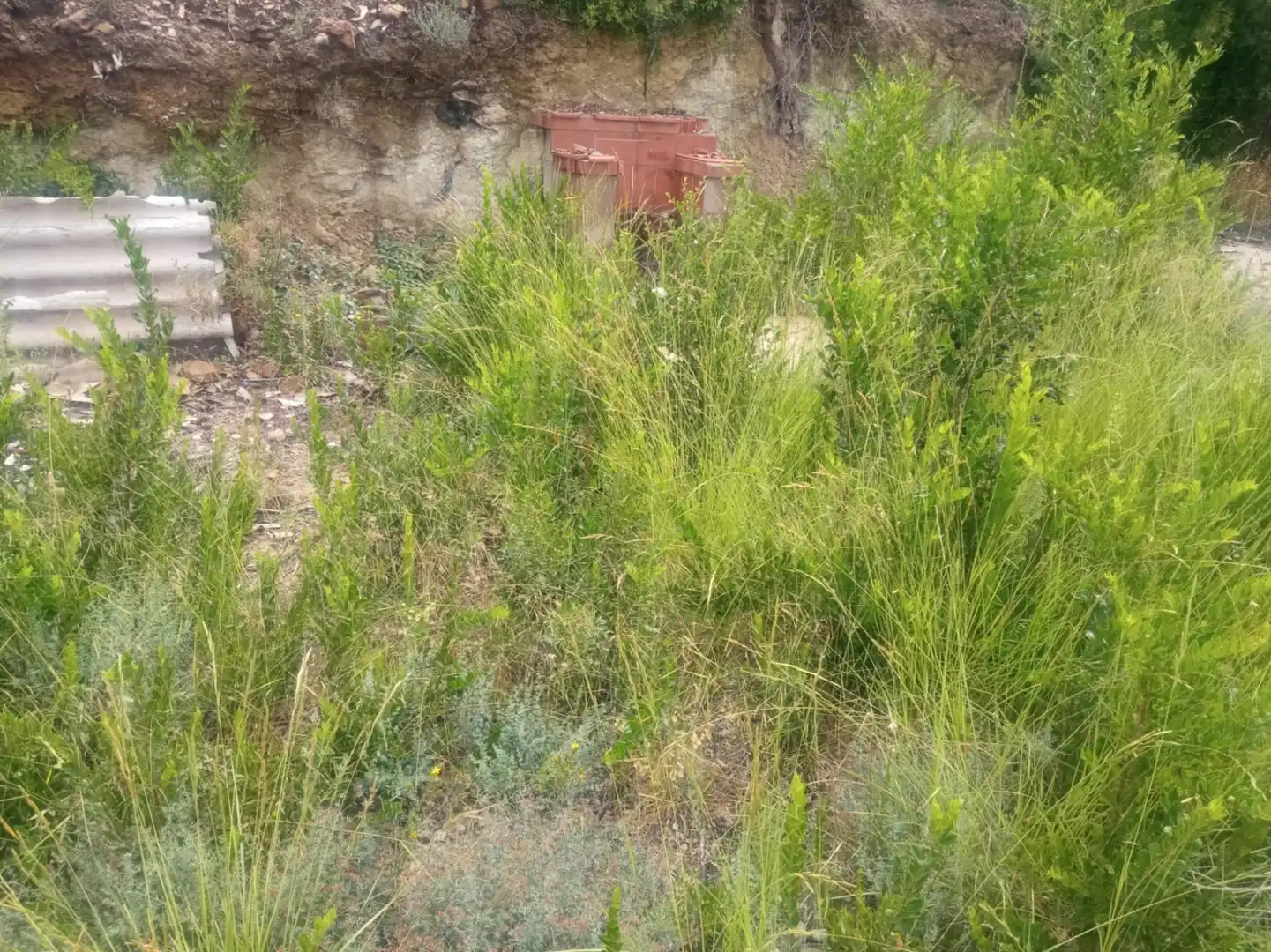 Rural land for sale in El Pont de Vilomara i Rocafort - Carrer Carrer del Senglar, imagen 5
