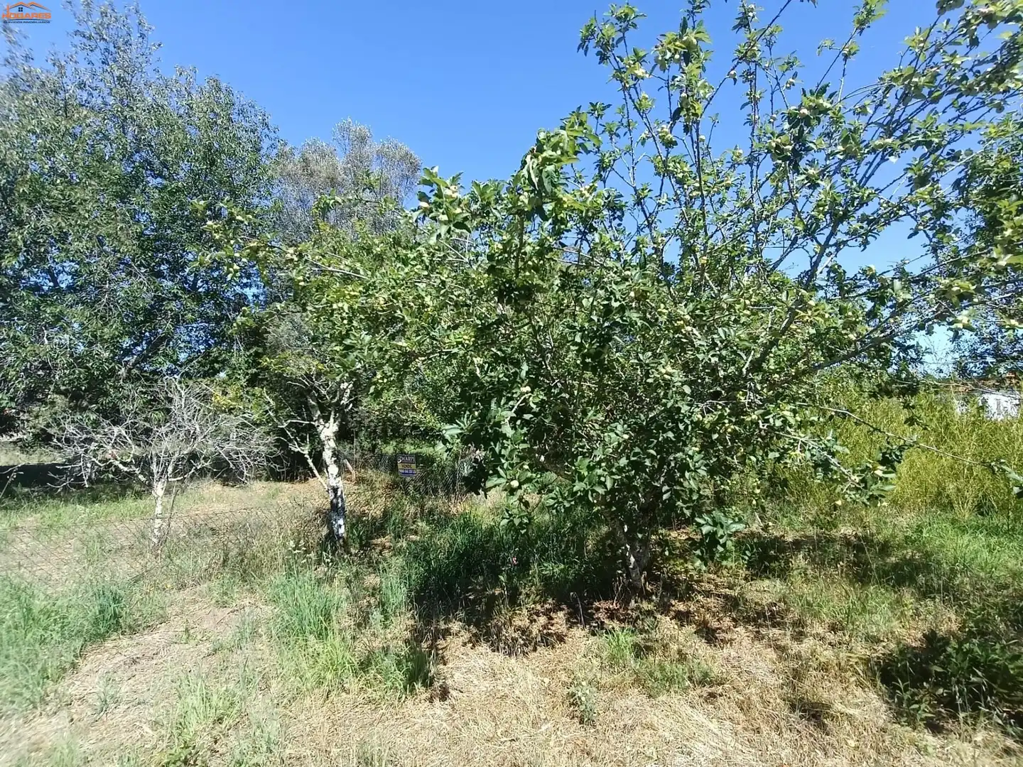 Casa o xalet en venda en Salvaterra de Miño amb Balcó