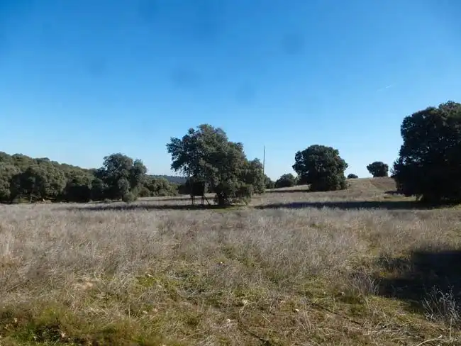 Rural land for sale in Paredes de Escalona, imagen 5