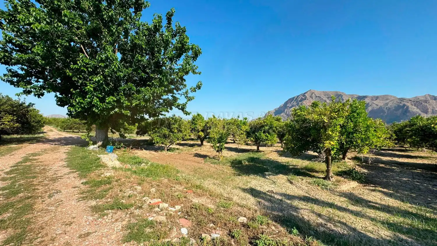 Finca rústica en venda en Redován