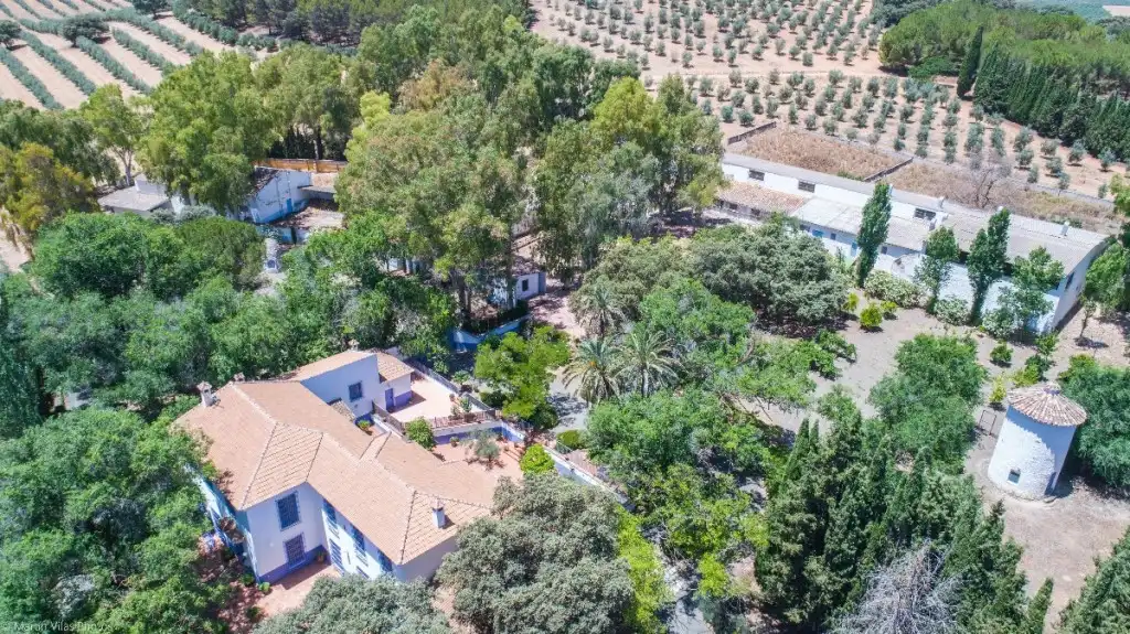 Casa rústica amb terrassa en venda a Archidona, imagen 4