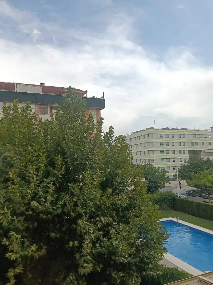 Wohnung mit Terrasse zum Verkauf in Avenida de Gregorio Arcos 3, imagen 11