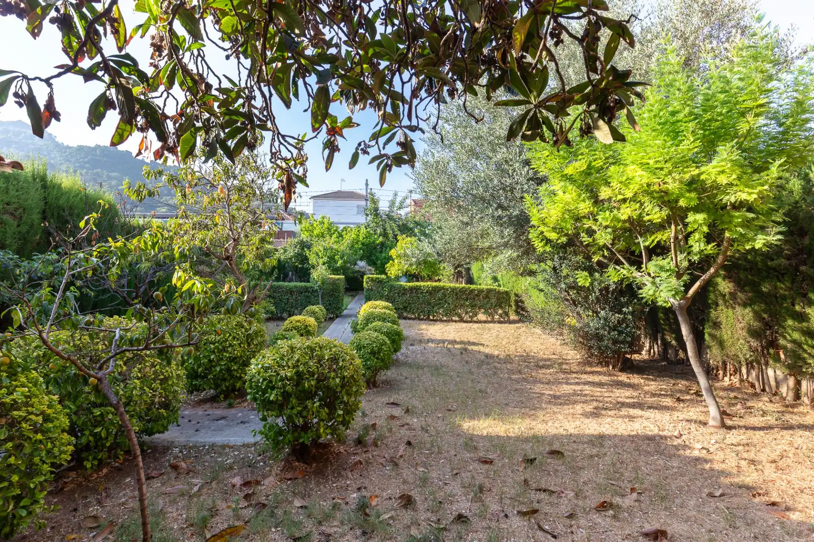 Jardí de Casa o xalet en venda en Montcada i Reixac amb Aire condicionat, Calefacció i Terrassa
