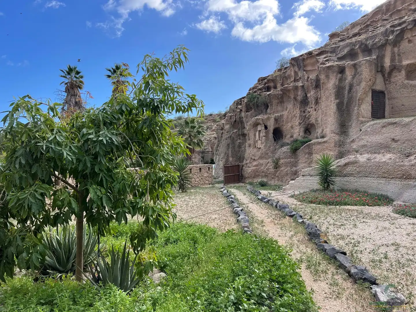 Jardín de Finca rústica en venta en Granadilla de Abona