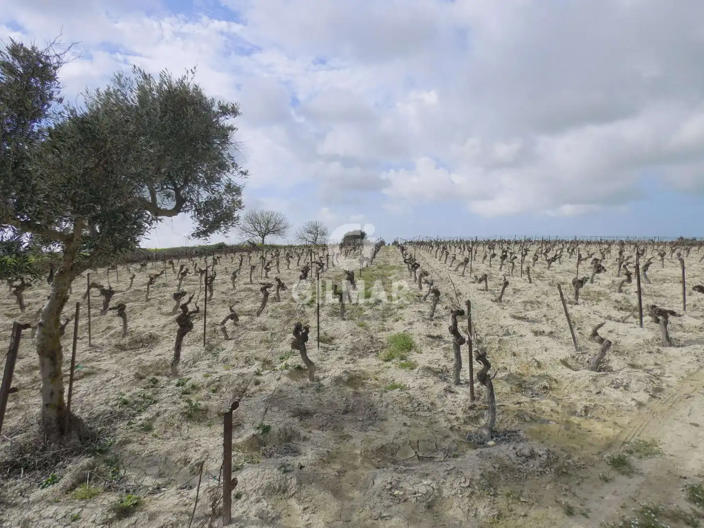 Rustikales Grundstück zum Verkauf in Ctra Jerez - Ctra del Puerto, imagen 14
