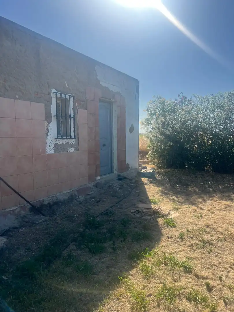 Vista exterior de Casa o chalet en venta en Carmona con Trastero y Piscina