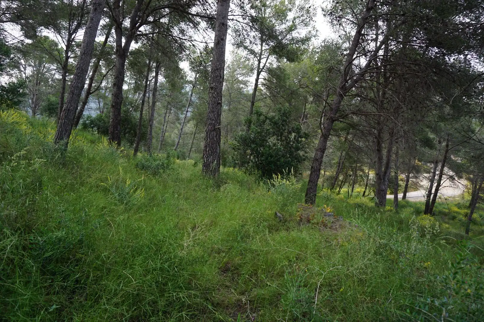 Terreno residenziale in vendita a Calle Ferreteries, imagen 8