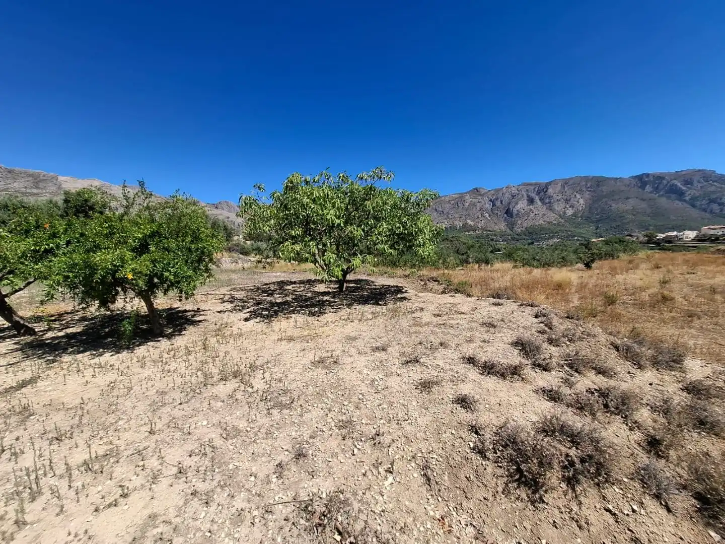 Grundstücke zum Verkauf in Beniardà