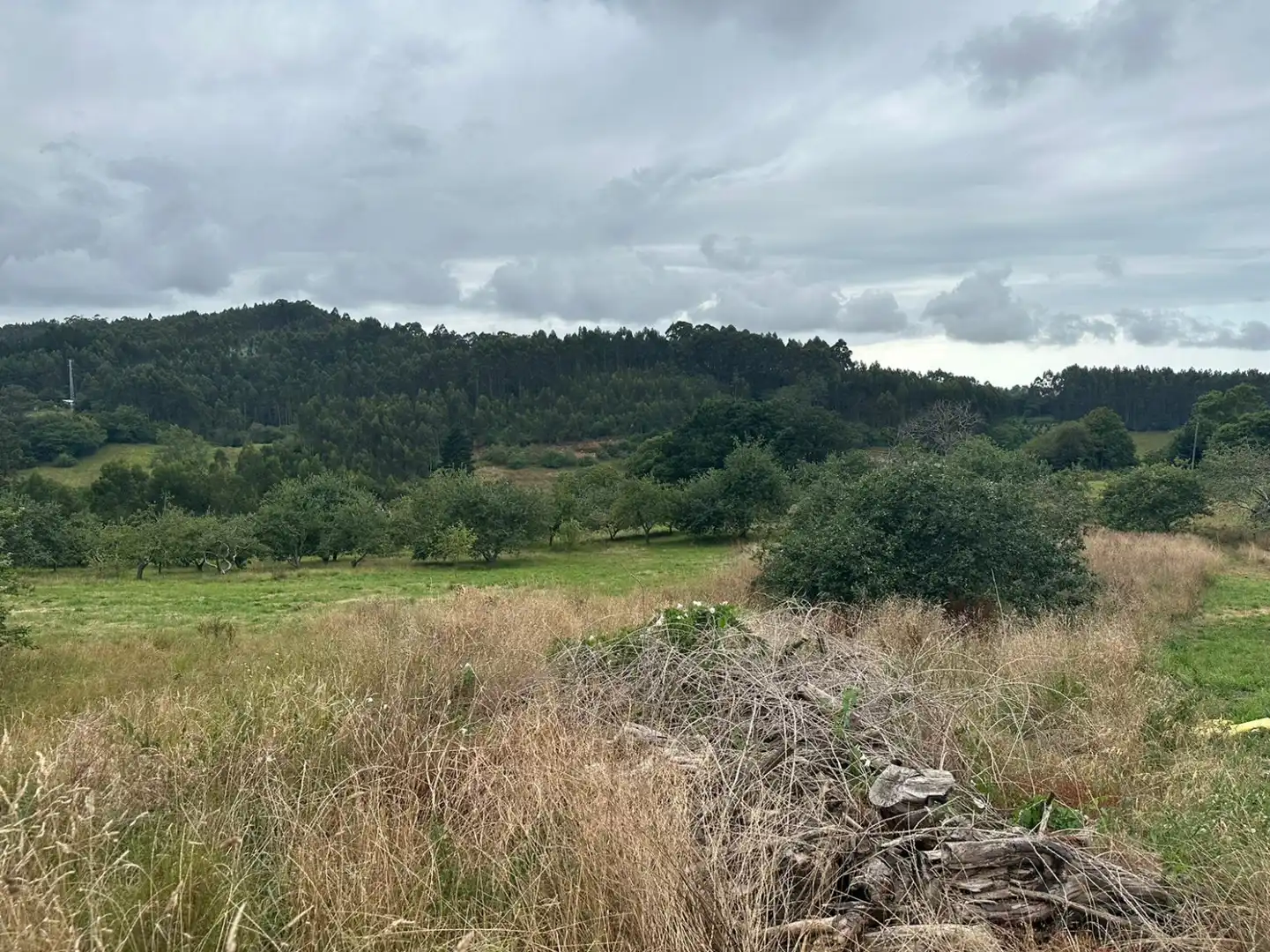 Terreno residencial en venta en Pipe - Huertas, imagen 3