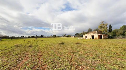 Foto 4 de Residencial en venta en Cami de Can Caponet, Zona Periurbana, Inca