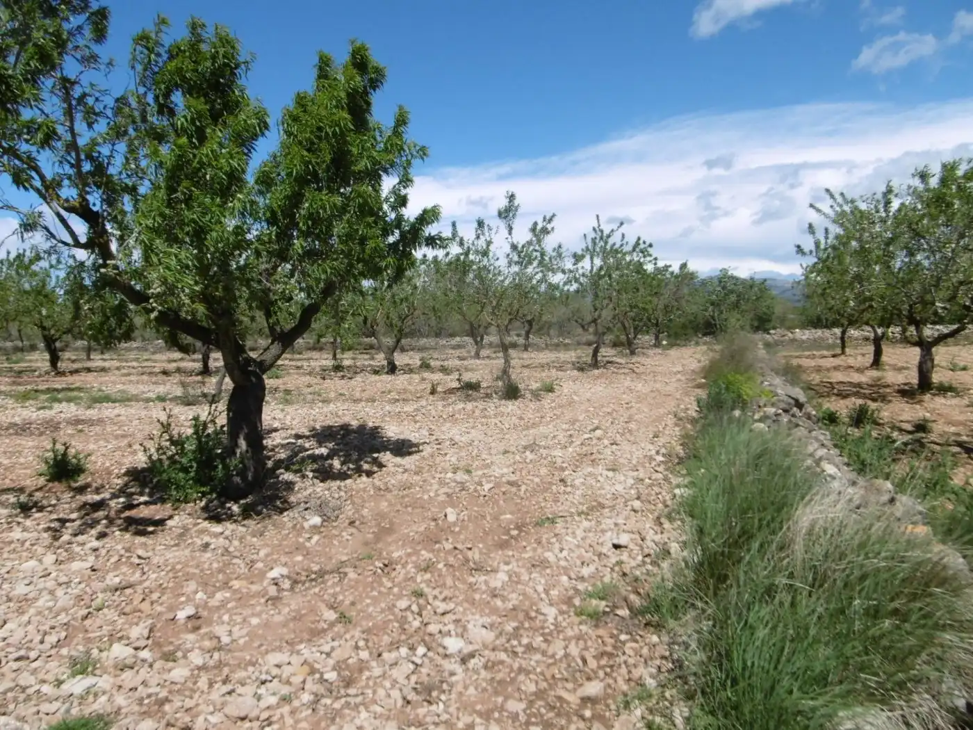 Terreno en venta en PARCELA, Benlloc