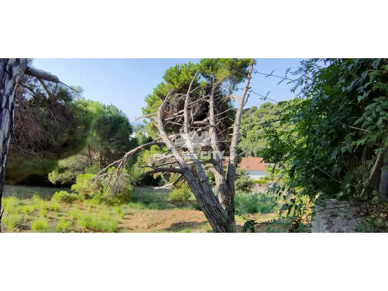 Terreno residencial en venta en Calle Llevante, imagen 5