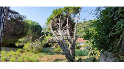 Foto 5 de Residencial en venda a Llevante, Calella, Barcelona