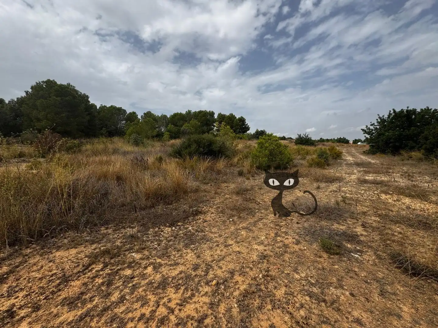 Rural land for sale in Calicanto - Cumbres de Calicanto - Santo Domingo, imagen 6
