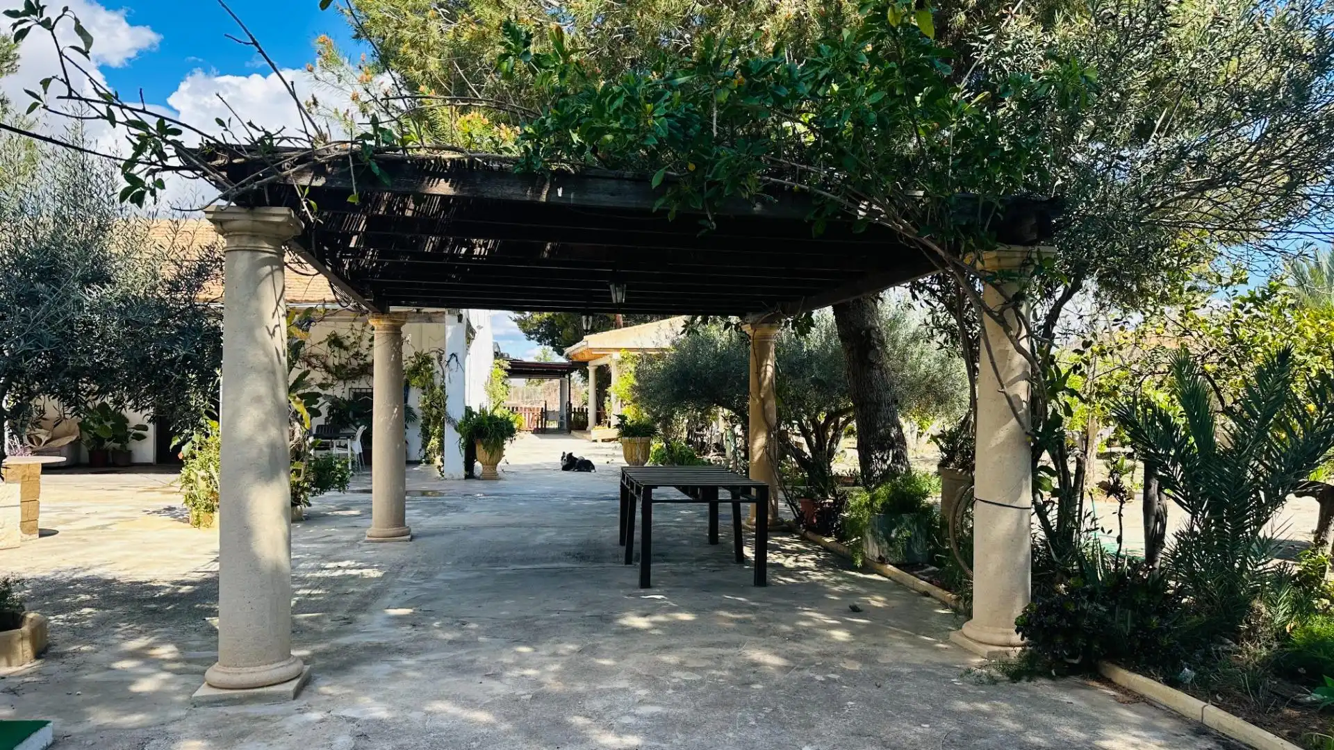 Terrassa de Casa o xalet en venda en Elche / Elx amb Jardí privat, Traster i Piscina